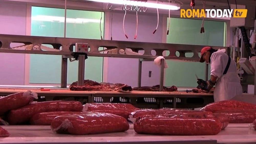 Centro Carni di Roma verso il cambio di gestione, il presidente del consorzio: "Gualtieri si troverà i cinghiali in città"