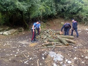 Legna a ruba: ladri fermati con venti quintali appena tagliati