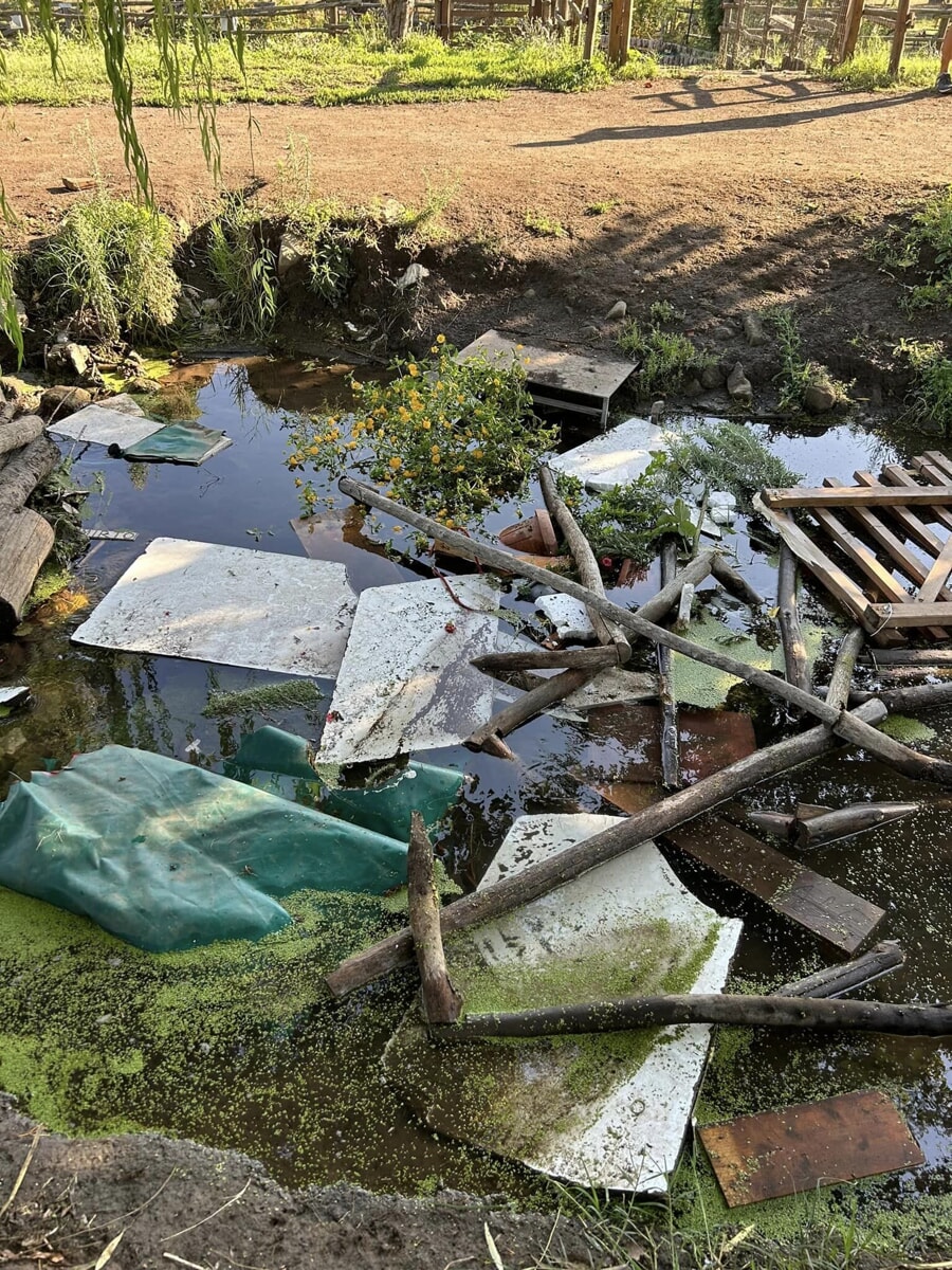 Parco degli Acquedotti, distrutto il Giardino delle Farfalle: “Ennesimo atto d’inciviltà”