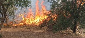 Incendi a Roma, fiamme in un golf club. Rogo anche nella zona del parco degli Acquedotti