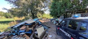 Cani feriti e rifiuti nella discarica abusiva di Prima Porta