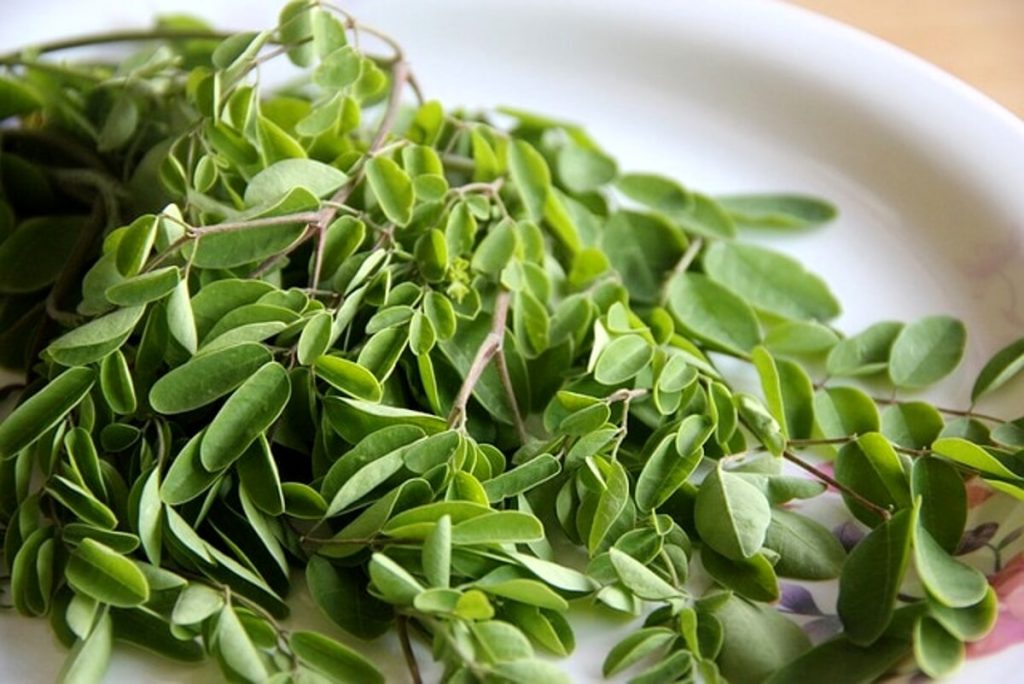 Che cos'è la moringa e perché viene chiamata "la pianta dei miracoli"