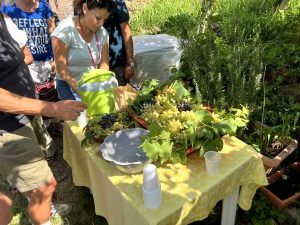 Sagra del pizzutello