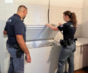 Ristorante cinese da incubo: blatte e scarse condizioni igieniche. Sequestrati 125 chili di alimenti