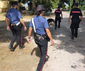 Controlli antidroga dalla periferia al centro di Roma, 30 persone arrestate