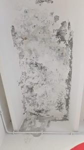 Muffa e perdite d'acqua dentro l'asilo: "L'ambiente non è salubre"