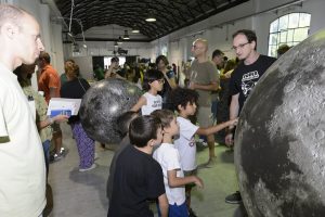 Bacchette & Provette: la magia della ricerca scientifica