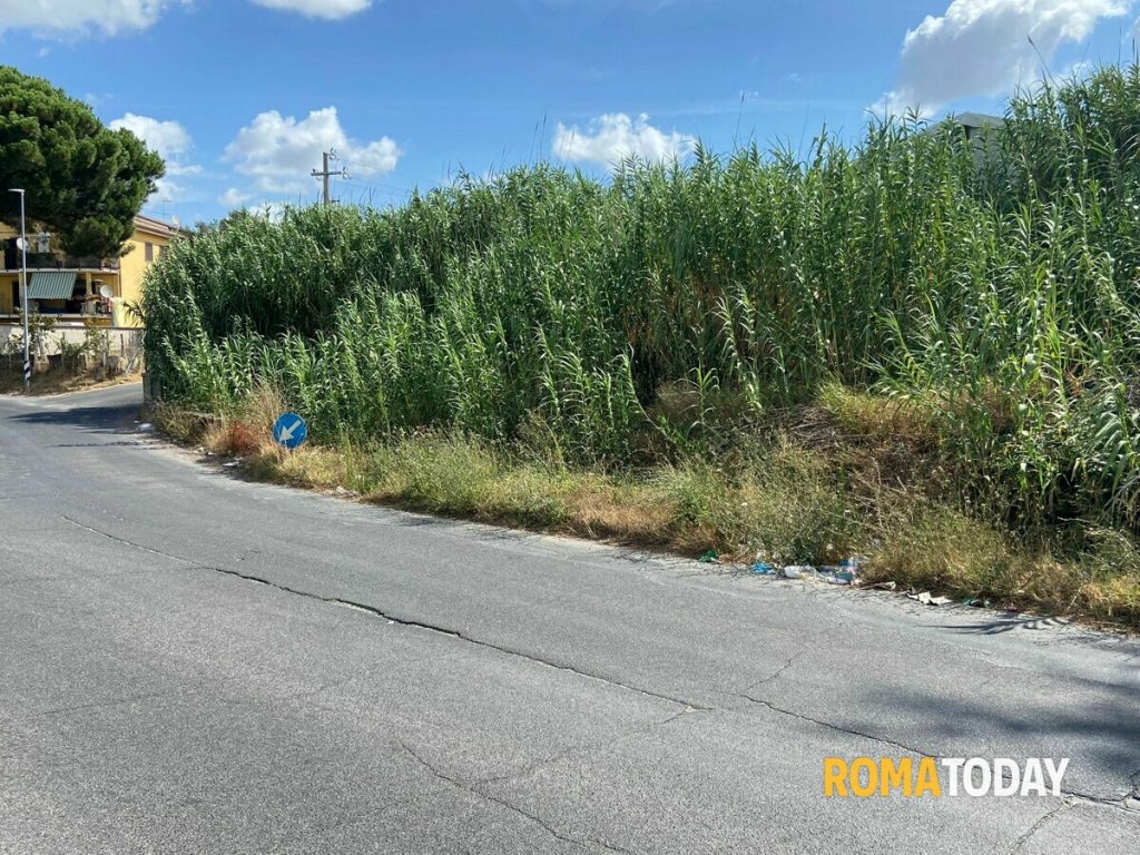 Roma Est, via libera alla pista ciclabile che collegherà Borghesiana con la metro C