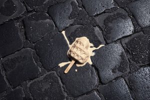 Roma ChilometroZero, la mostra al Museo di Roma in Trastevere