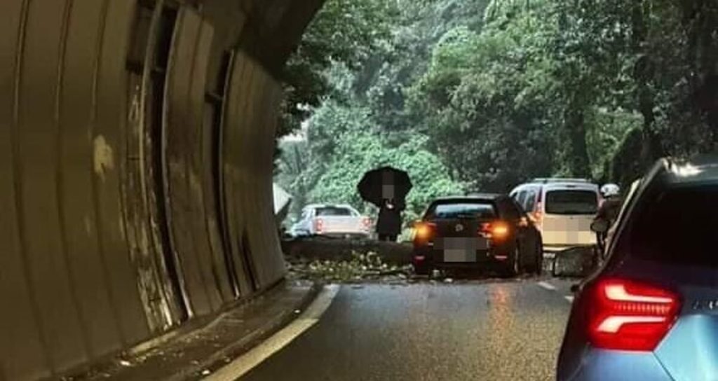 Maltempo a Roma: albero crolla su auto in transito, traffico in tilt per la pioggia. Allagata stazione della metro