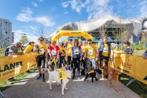Dog Run 2024 Roma: un'esperienza tutta da vivere insieme al tuo pet