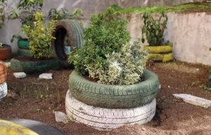 La scuola ha il nuovo giardino realizzato con materiali riciclati: "Progetto di inclusione e crescita"