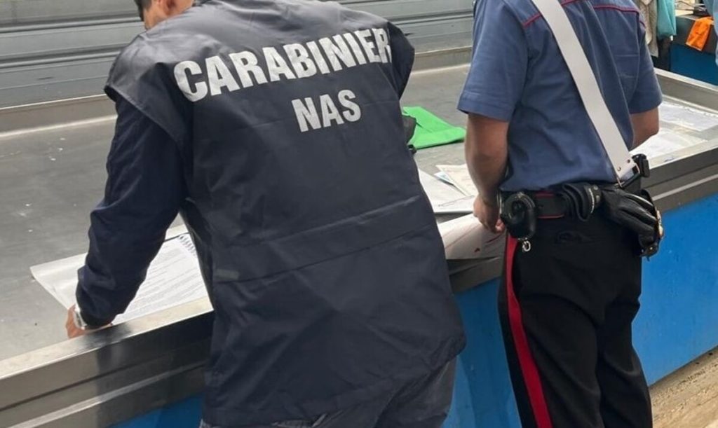 Blitz al mercato Esquilino: sequestrati 11 chili di granchio blu. Multe per 20mila euro