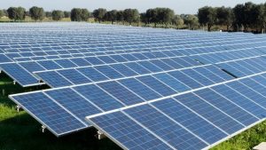Terra bruciata. Così eolico e fotovoltaico rischiano di soffocare l'agricoltura nel Lazio