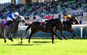 Ippodromo Capannelle, il 31 dicembre va riconsegnato l'impianto: partite le procedure di licenziamento