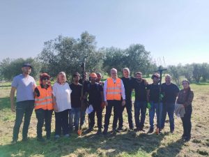 Castel di Guido, la raccolta delle olive è solidale: l’olio prodotto va (anche) alle famiglie più fragili