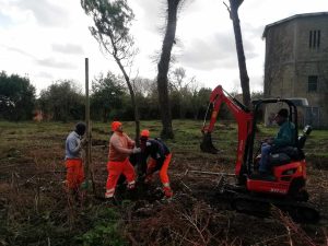 Alberi e parchi: il Campidoglio stanzia cento milioni per la cura del verde