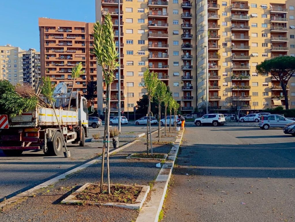 Da Tor Tre Teste al Pigneto: nuovi alberi vicino alle scuole e sulle strade più trafficate
