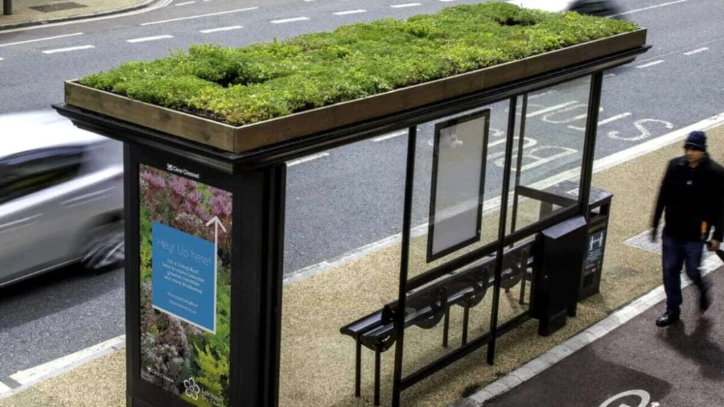 “Buzz stops” così l'attesa del bus diventa sostenibile: il municipio vuole trasformare le pensiline in prati fioriti