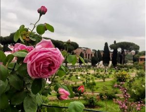 Il Roseto Comunale apre per la fioritura autunnale