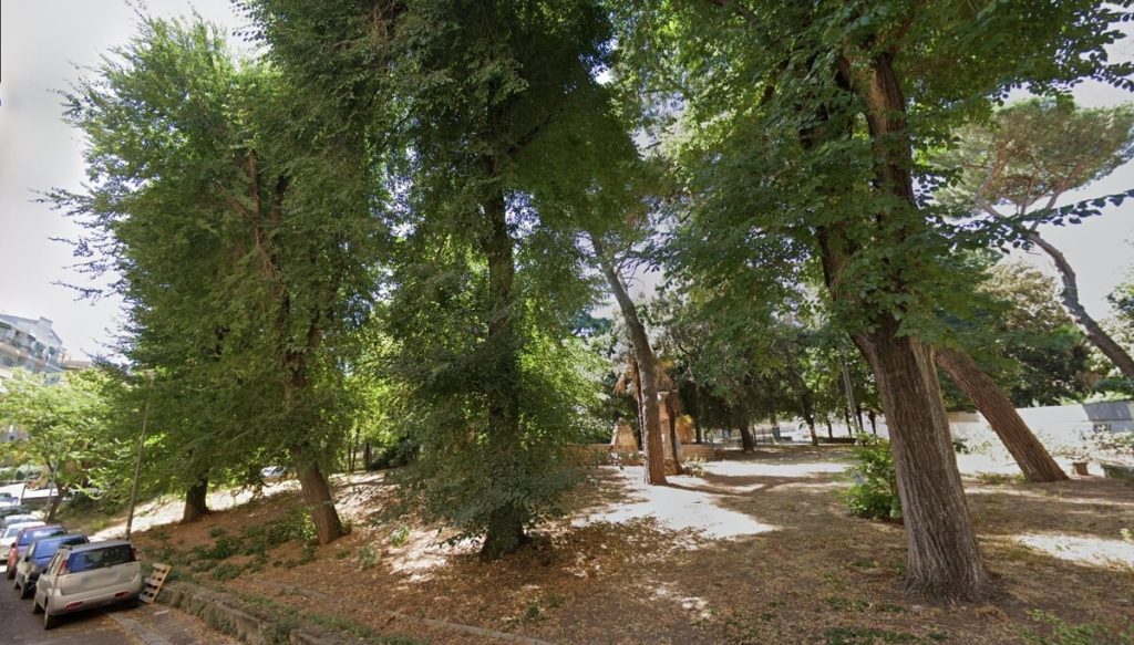 Quartiere Africano, addio ad olmi ed aceri: pronto il taglio di sette alberi