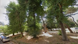 Quartiere Africano, addio ad olmi ed aceri: pronto il taglio di sette alberi