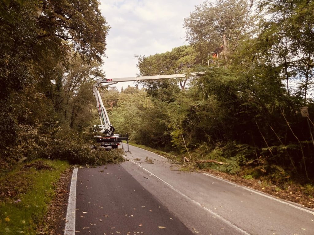 Via Portuense, la chiusura si poteva evitare: le prime verifiche sugli alberi chieste 5 anni fa