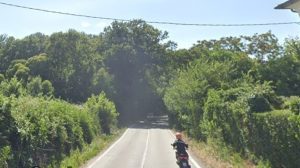 Verifiche urgenti sugli alberi, chiude un tratto di via Portuense