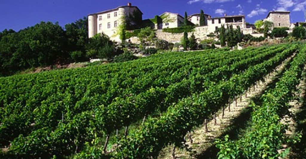 Roma premiata per il progetto sui vigneti urbani