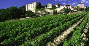 Roma premiata per il progetto sui vigneti urbani
