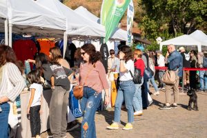 'Baobab, Bambini e Natura': due giornate di attività gratuite per ogni età al Green Market Festival di Roma