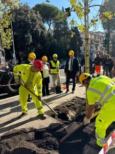 A Roma in arrivo 5800 nuovi alberi. Si parte da viale Angelico