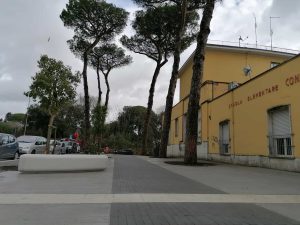 Allarme topi nella scuola primaria del Trieste-Salario. Bambini a casa e pasti freddi a mensa