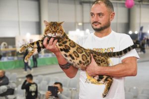 SuperCat Show 2024