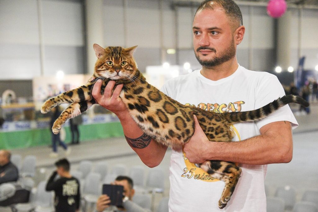 SuperCat Show 2024