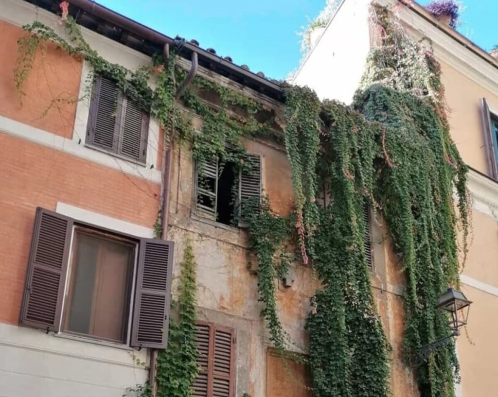 Cantine occupate e appartamenti murati. Vi porto negli alloggi del Comune abbandonati all'ombra del Colosseo