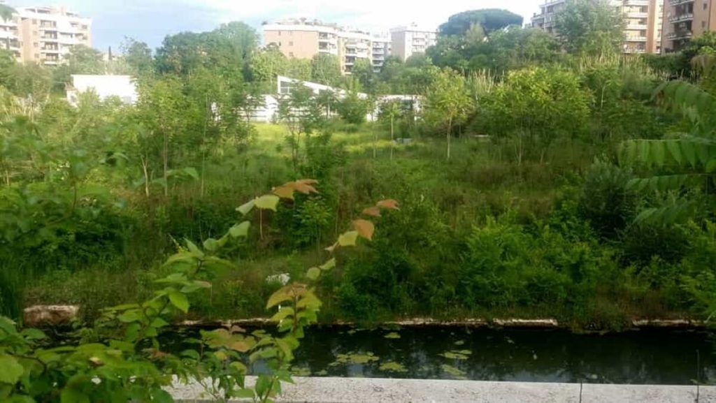 L'ex Punto verde qualità è una palude: urge una bonifica