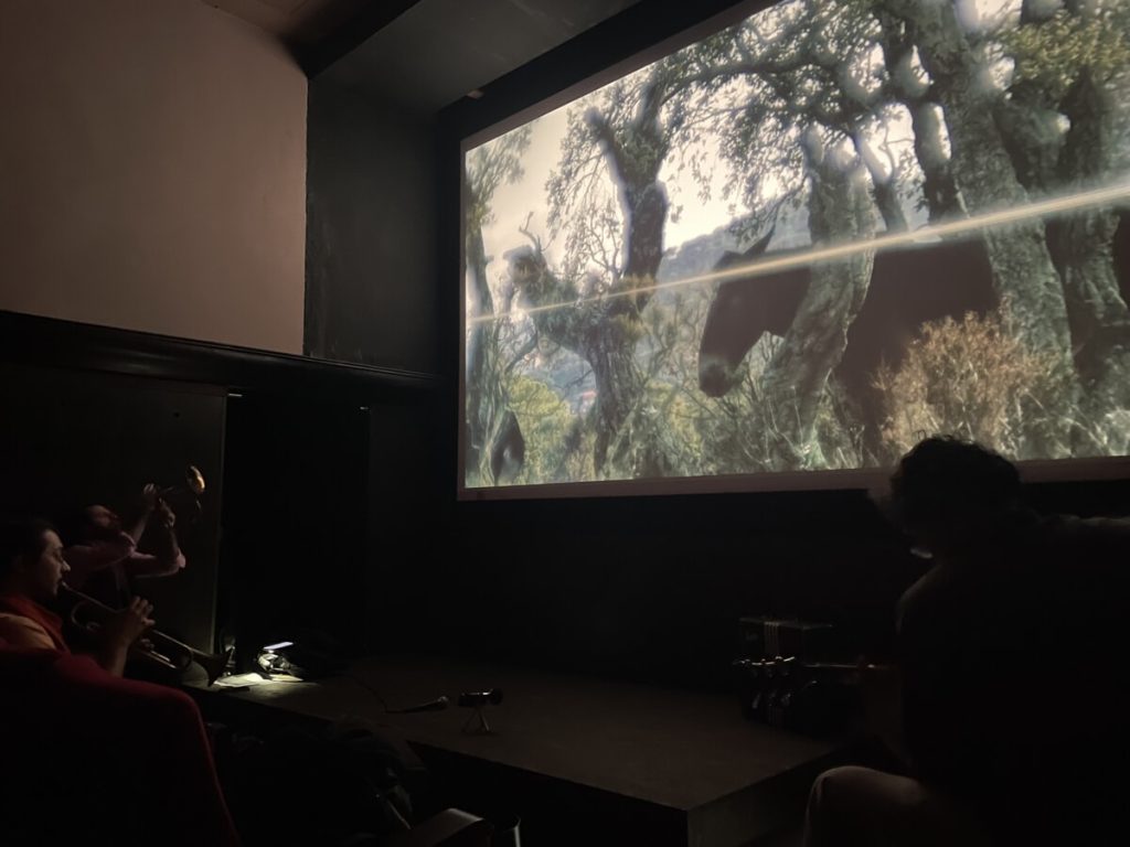 Filmkonzert DS: Film concerto – Sonorizzazione dal vivo dei tagli del film "Desert Suite"