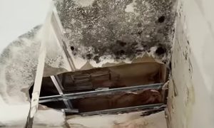 Giubileo 2025, partiti i lavori al centro culturale Gabriella Ferri di Pietralata