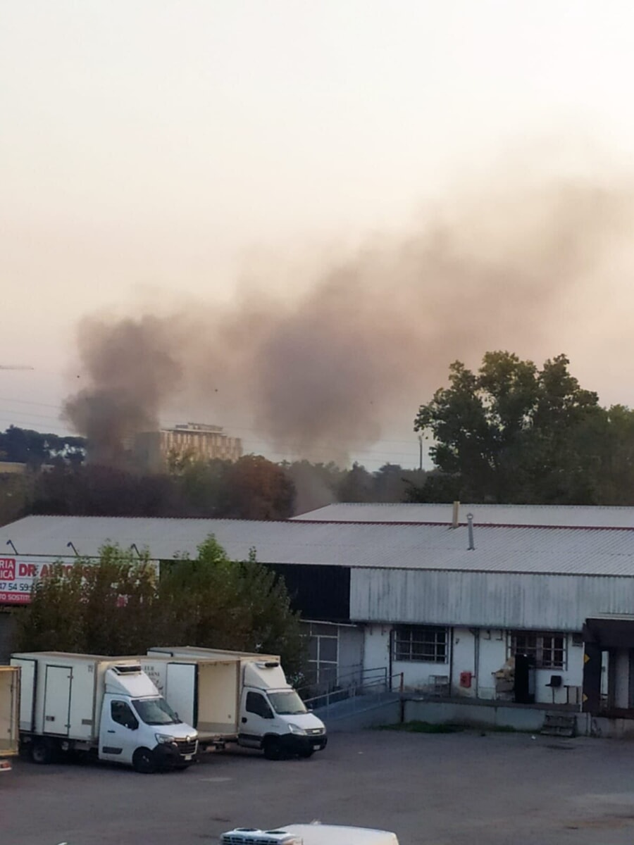 Magliana, sotto al viadotto c’è un nuovo insediamento. Pronto l’esposto: “Domenica lì ennesimo incendio”