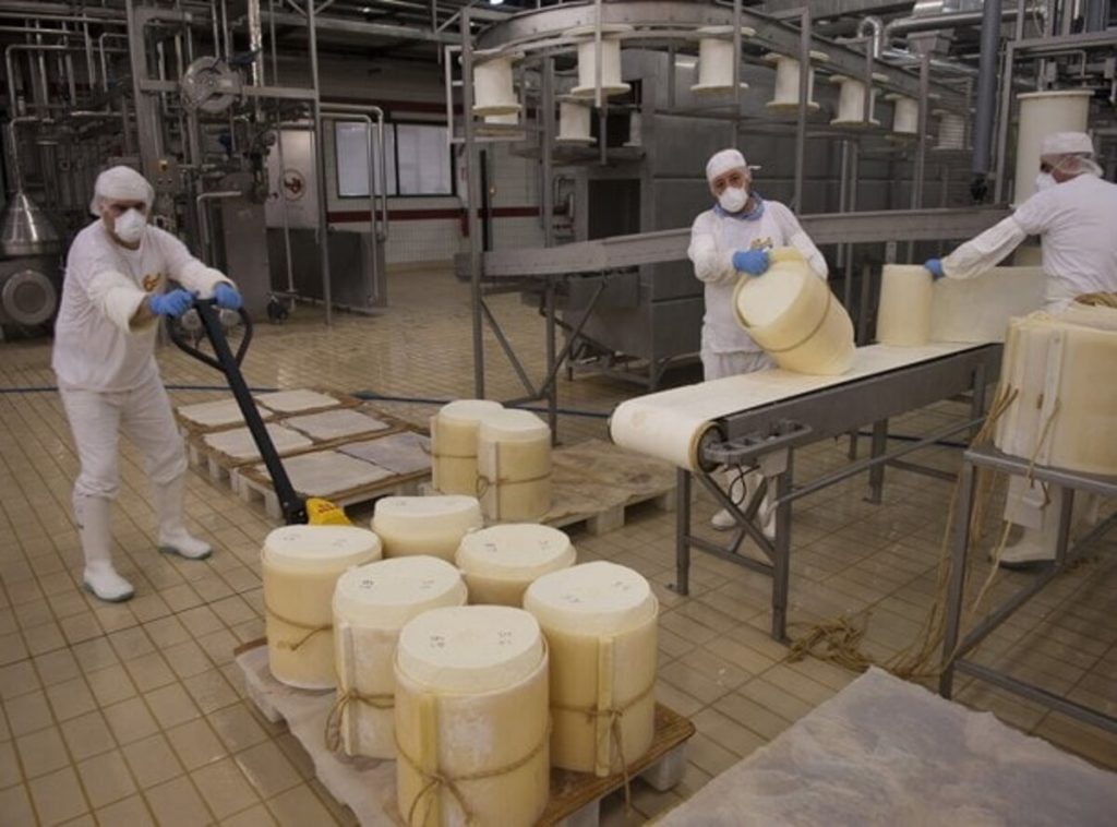 Sospetti, intrighi e un fallimento pieno di ombre. La caduta dell’impero del pecorino