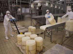 Sospetti, intrighi e un fallimento pieno di ombre. La caduta dell’impero del pecorino
