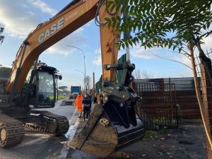 Centocelle via le lamiere nell'area degli ex autodemolitori. All’orizzonte torna a vedersi il parco archeologico