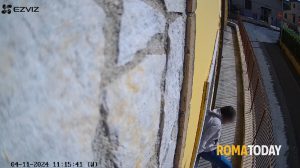 La banda che terrorizza Guidonia: ladri diventano rapinatori e minacciano anziani in casa