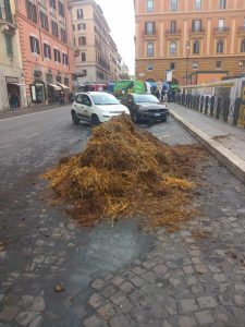 Dal letame alle identificazioni: in 68 negli uffici di polizia, foglio di via da Roma per 33 ambientalisti