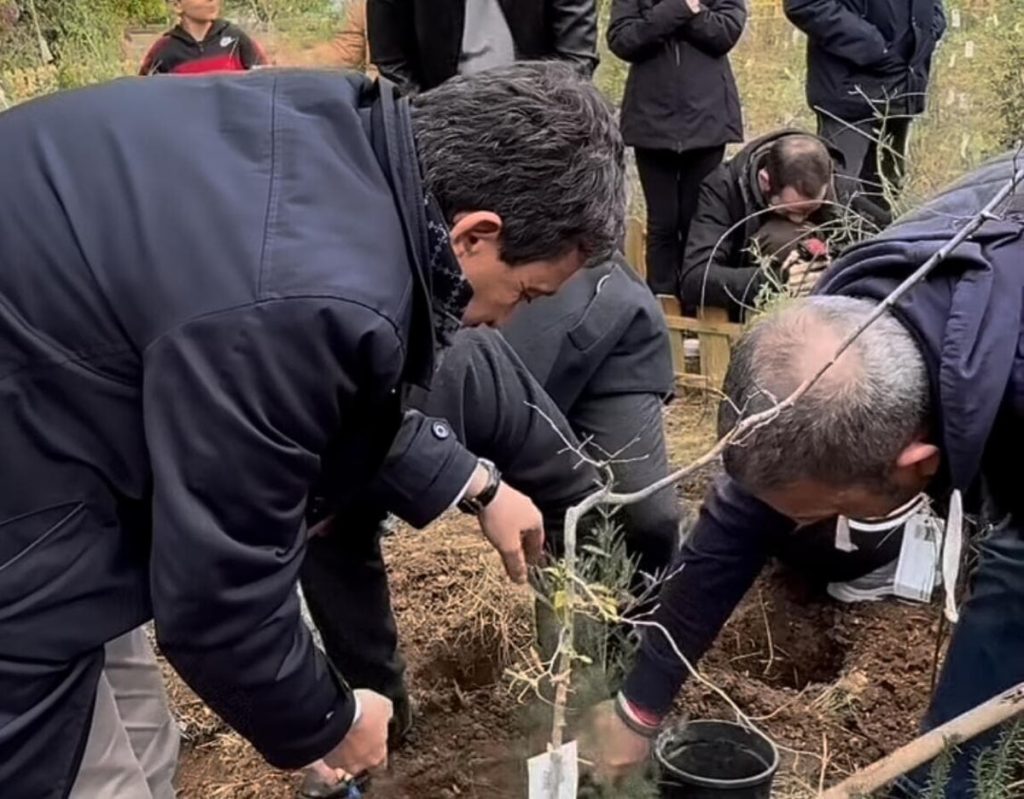 Una microforesta a Vigne Nuove