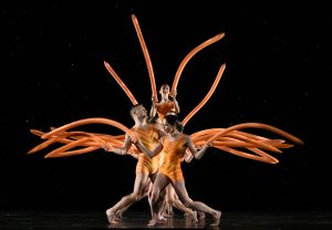 Momix al Teatro Olimpico