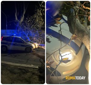 Albero crolla su un'auto della polizia locale