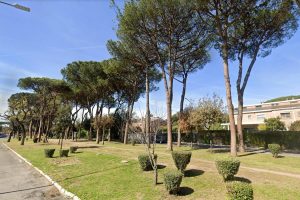 Casal Palocco, arrivato il via libera all’abbattimento dei primi pini