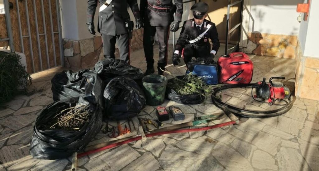 Scoperta una serra di marijuana che avrebbe fruttato 80.000 mila euro